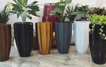 Chậu cây nhựa cao cấp FRP